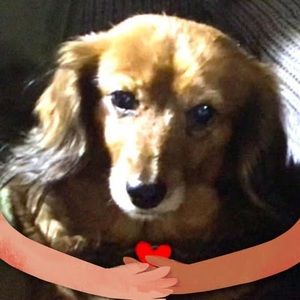 Meet your Posher, Terry